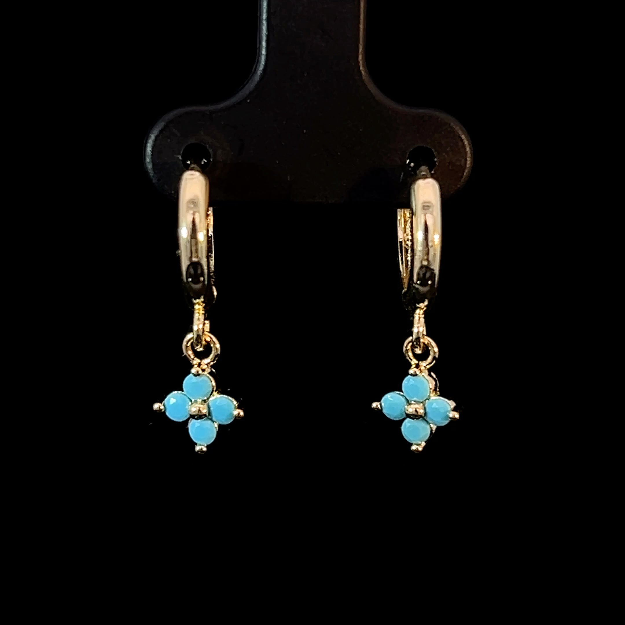 S6 Σκουλαρίκια