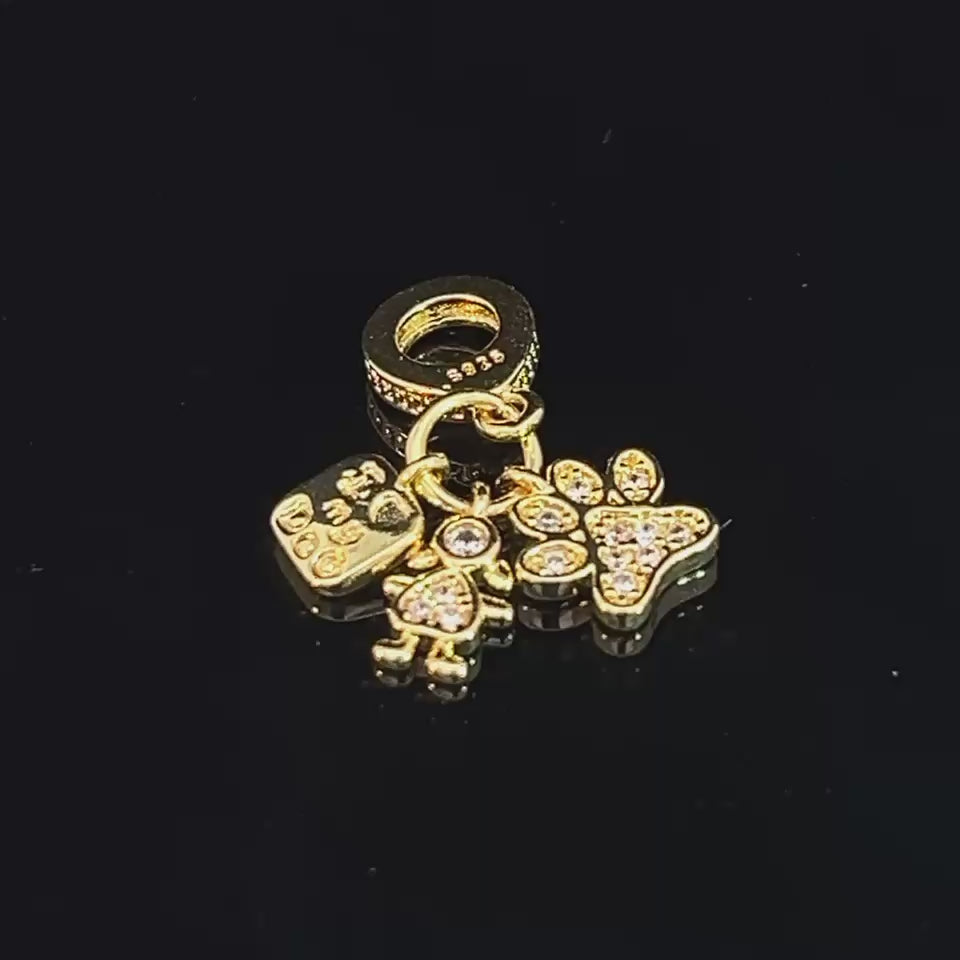 C26 Charm
